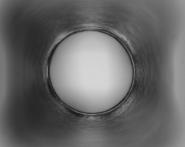 X0000093391365200711081557