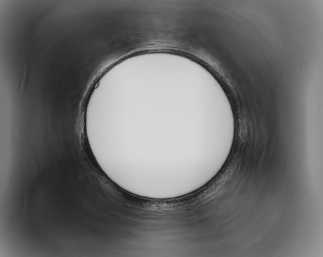 X0000093391366200711081557
