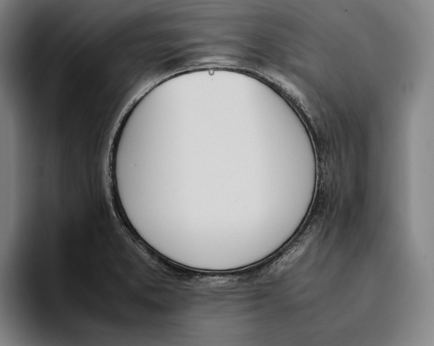 X0000093391373200711081557