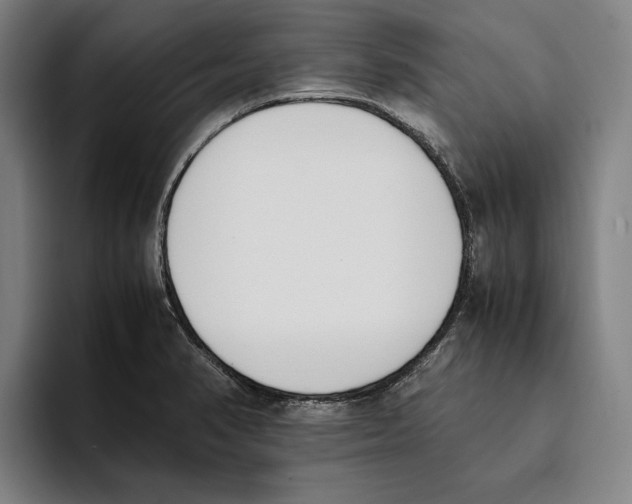 X0000093391374200711081557