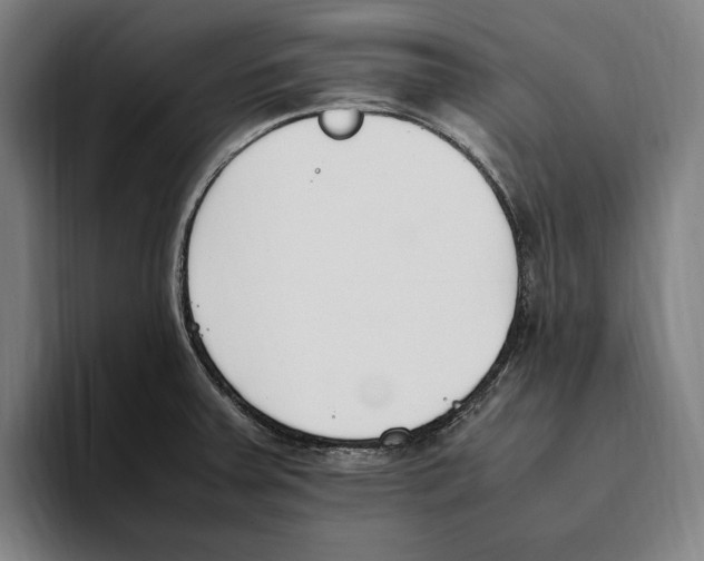 X0000093391379200711081556