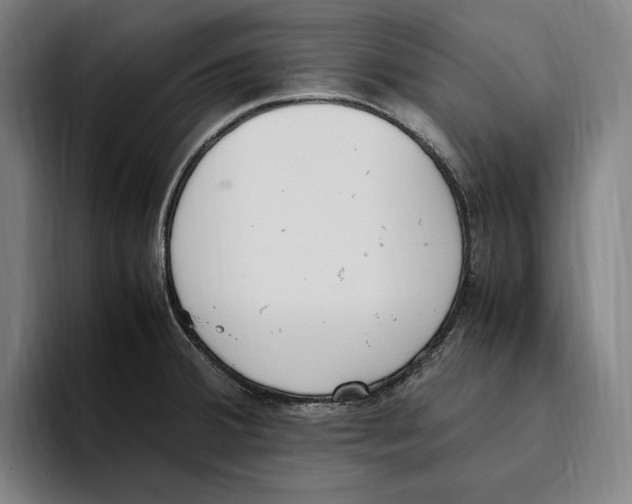 X0000093391380200711081556