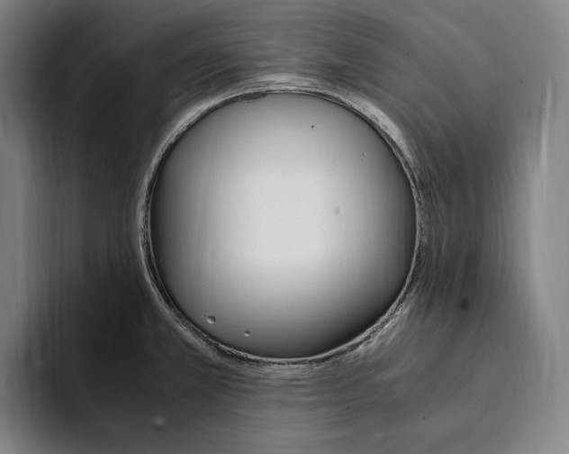 X0000093391381200711081556