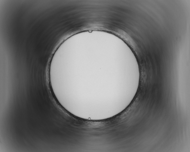 X0000093391382200711081556