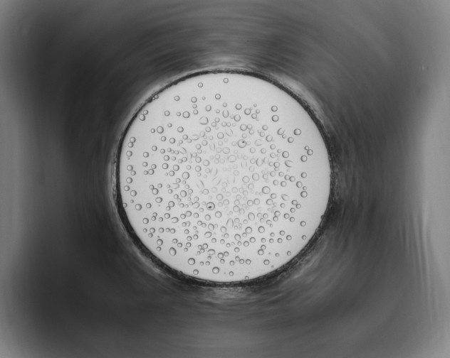 X0000093391383200711081556