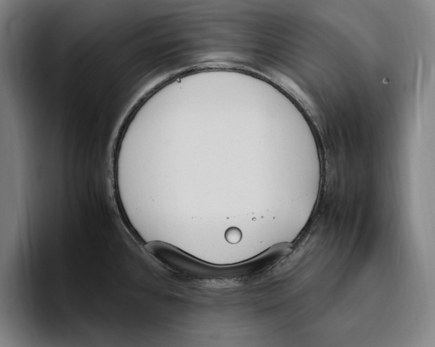 X0000093391384200711081556