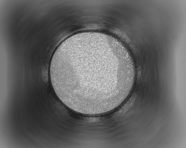 X0000093391409200711081556