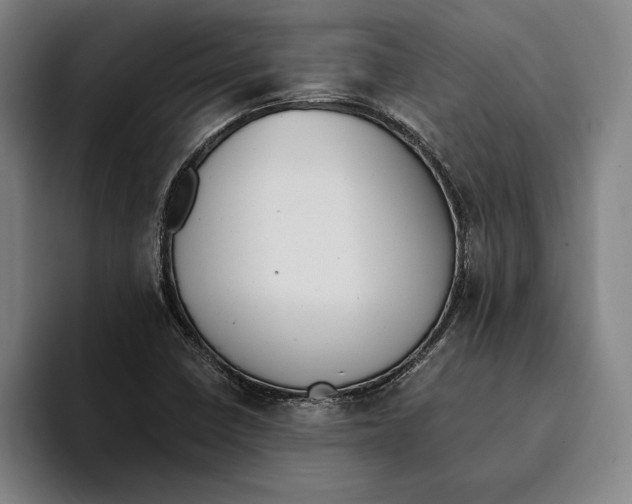 X0000093391410200711081556