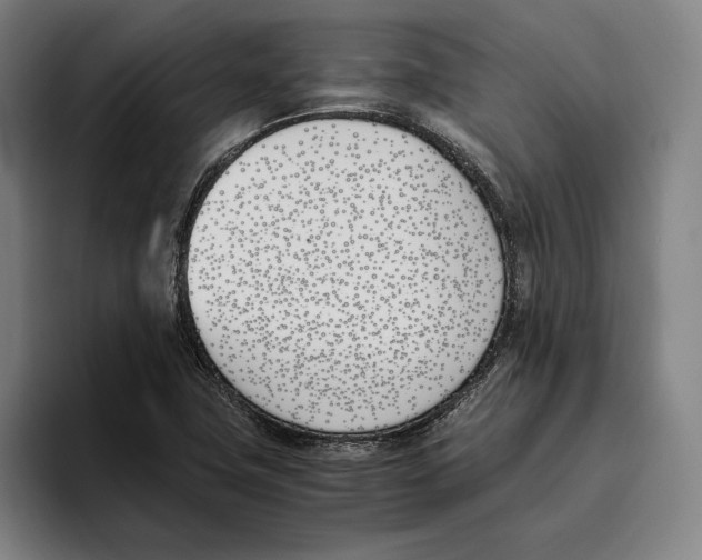 X0000093391411200711081556