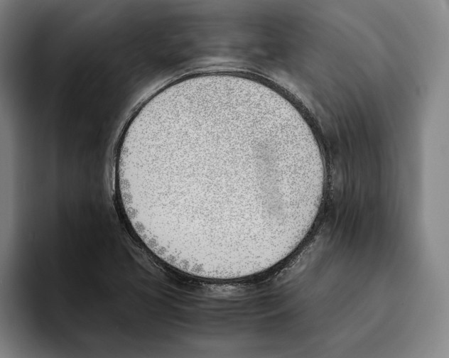 X0000093391413200711081556