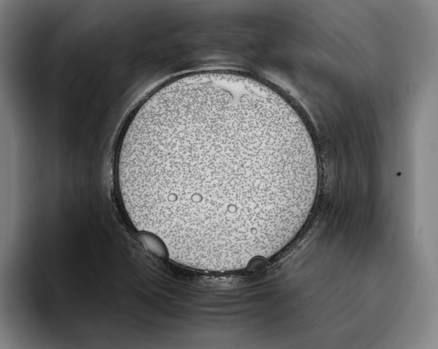 X0000093391415200711081556