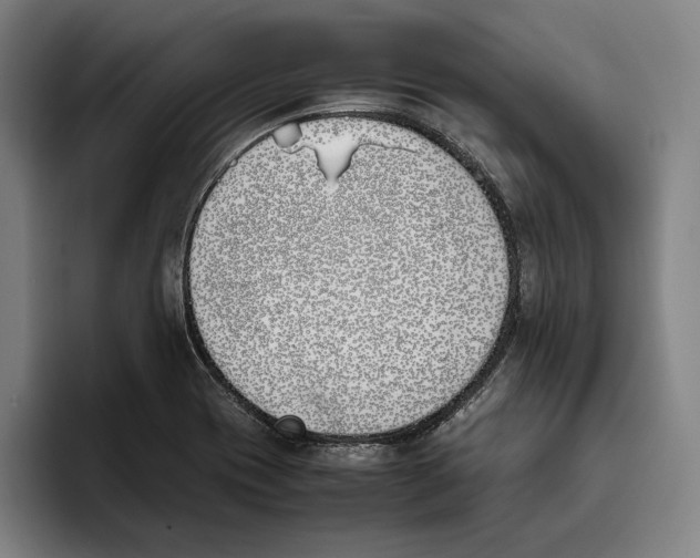X0000093391417200711081556