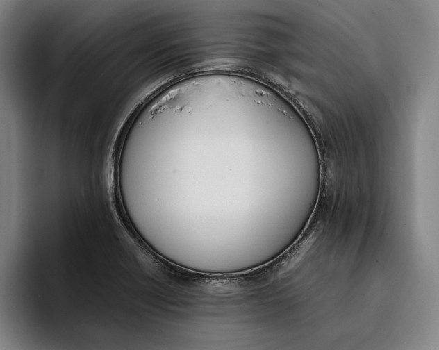 X0000093391418200711081556