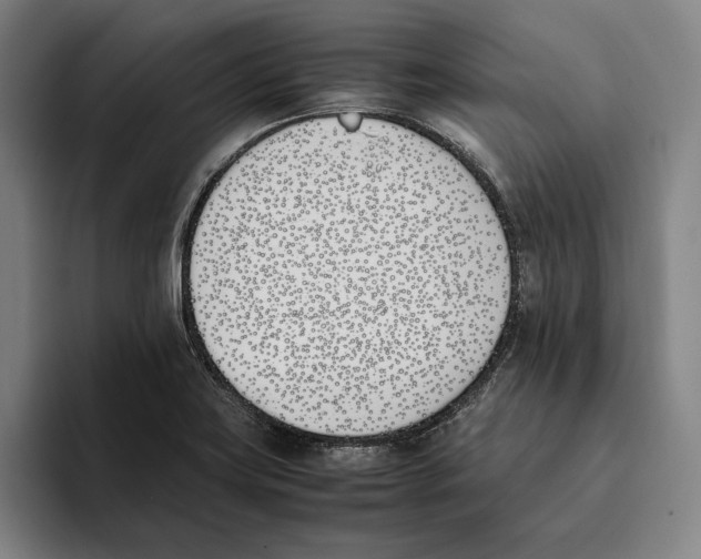 X0000093391419200711081556