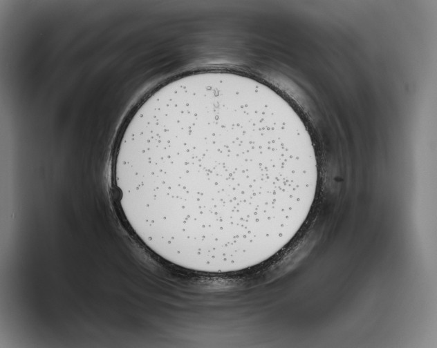 X0000093391420200711081556