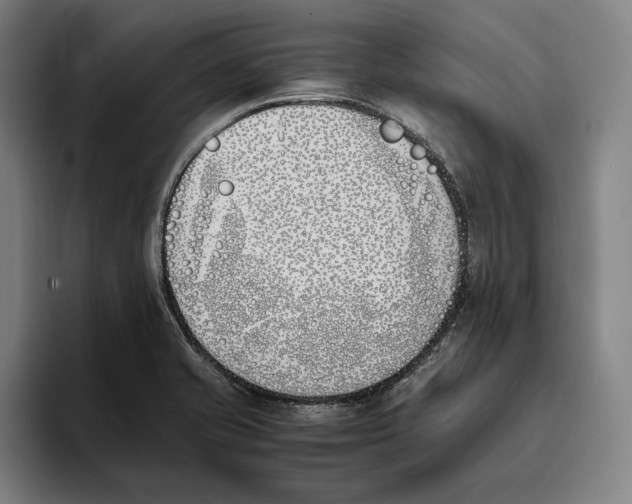 X0000093391421200711081556