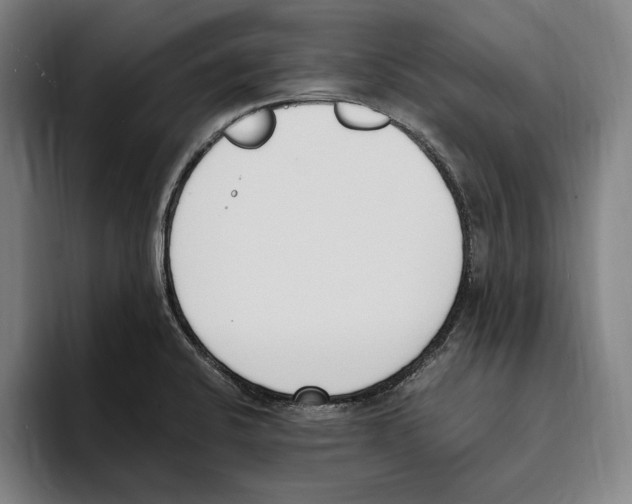 X0000093391424200711081556