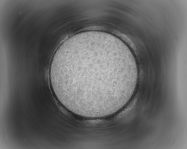 X0000093391425200711081556