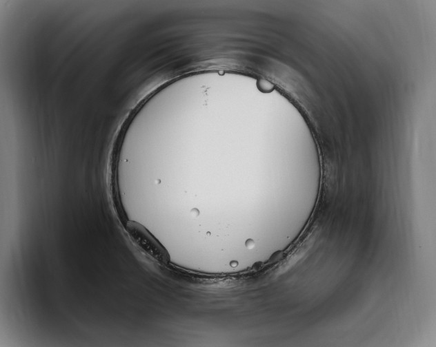 X0000093391426200711081556