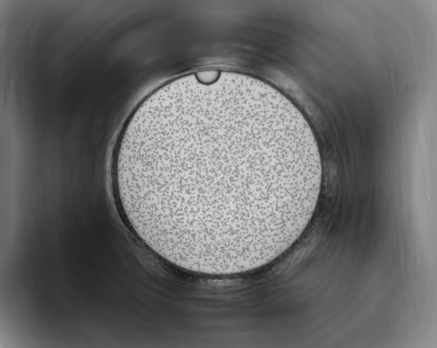 X0000093391427200711081556