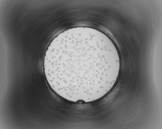 X0000093391433200711081556