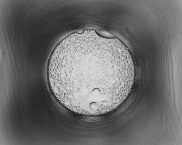 X0000093391439200711081556