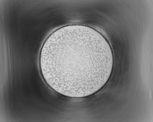 X0000093391440200711081556