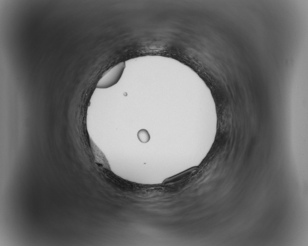 X0000093391441200711081556