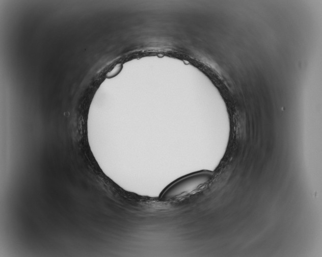 X0000093391448200711081556