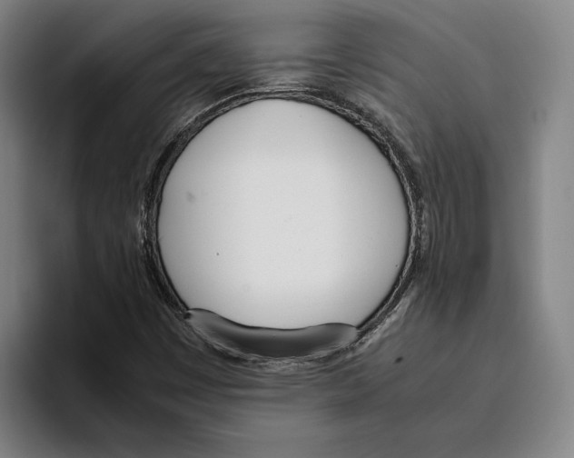 X0000093391449200711081556