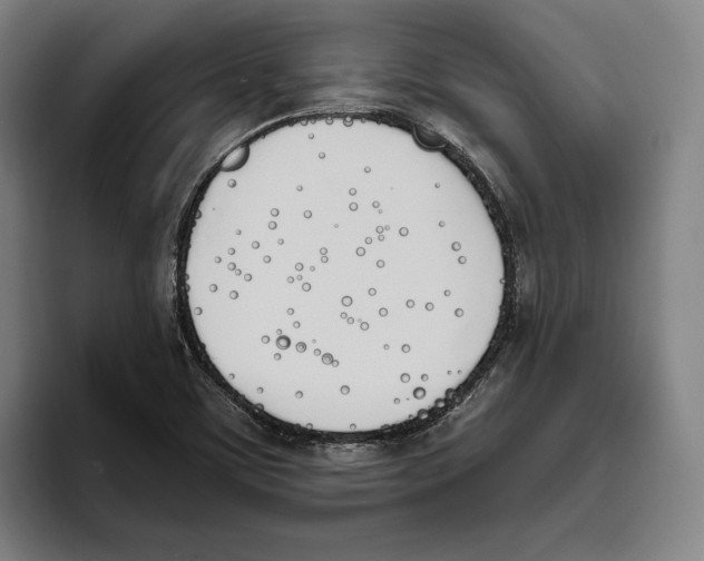 X0000093391459200711081555