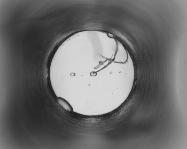 X0000093391461200711081555