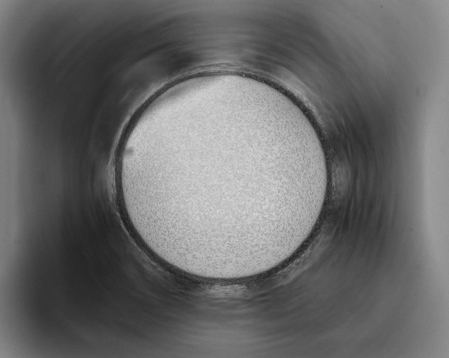 X0000093391466200711081555