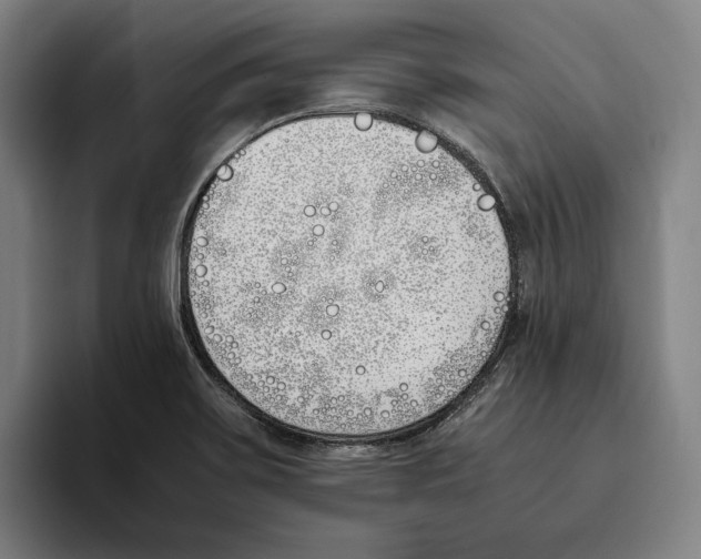 X0000093391467200711081555