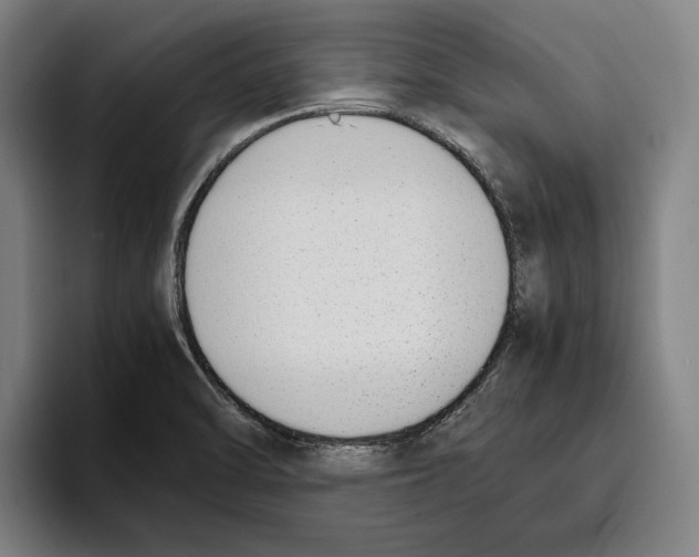 X0000093391470200711081555