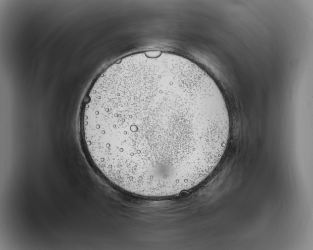 X0000093391471200711081555