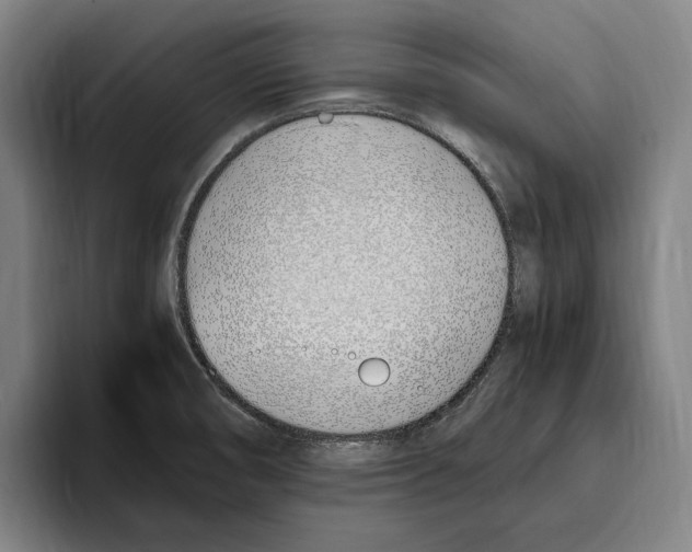 X0000093391474200711081555