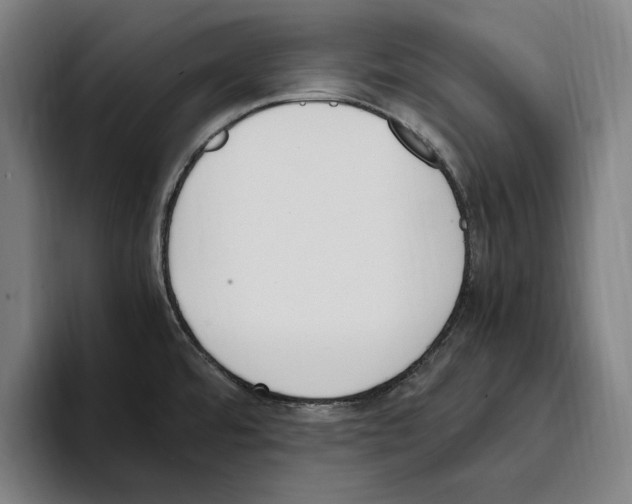 X0000093391480200711081555