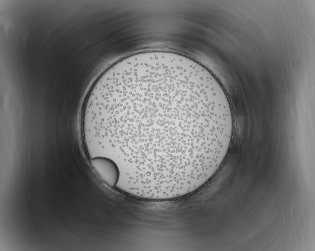 X0000093391482200711081555