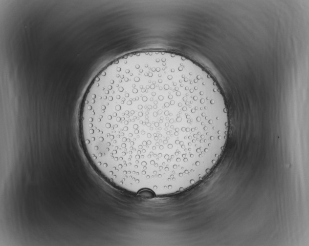 X0000093391483200711081555