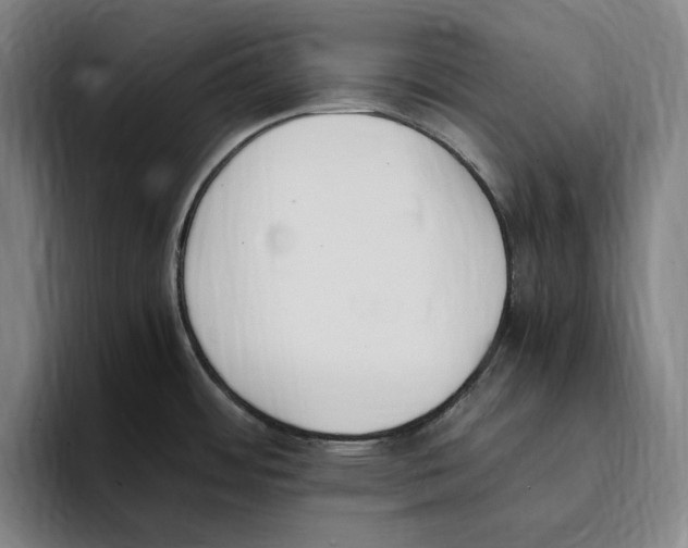 X0000093391484200711081555