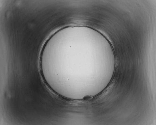 X0000093391485200711081555