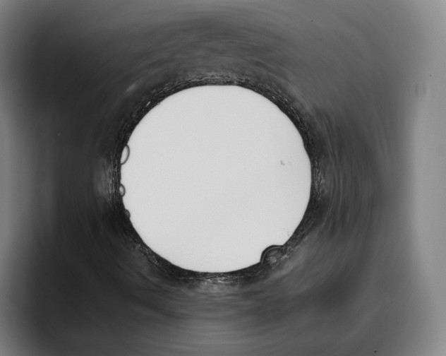 X0000093391490200711081554