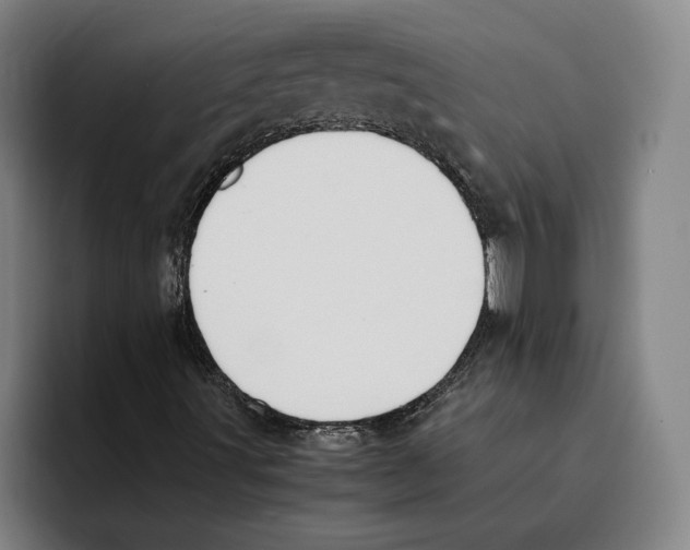 X0000093391491200711081554