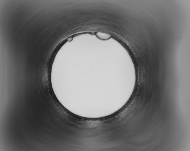 X0000093391498200711081555