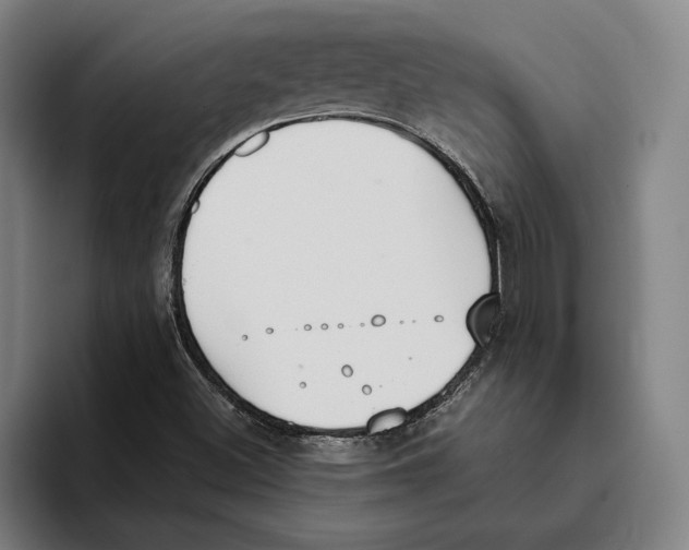 X0000093391500200711081555