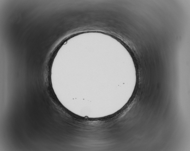 X0000093391502200711081555