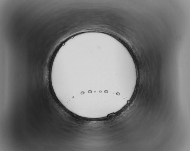 X0000093391506200711081555