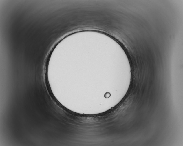 X0000093391508200711081555