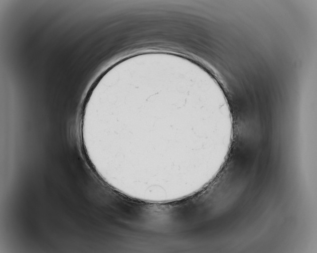 X0000093391514200711081555